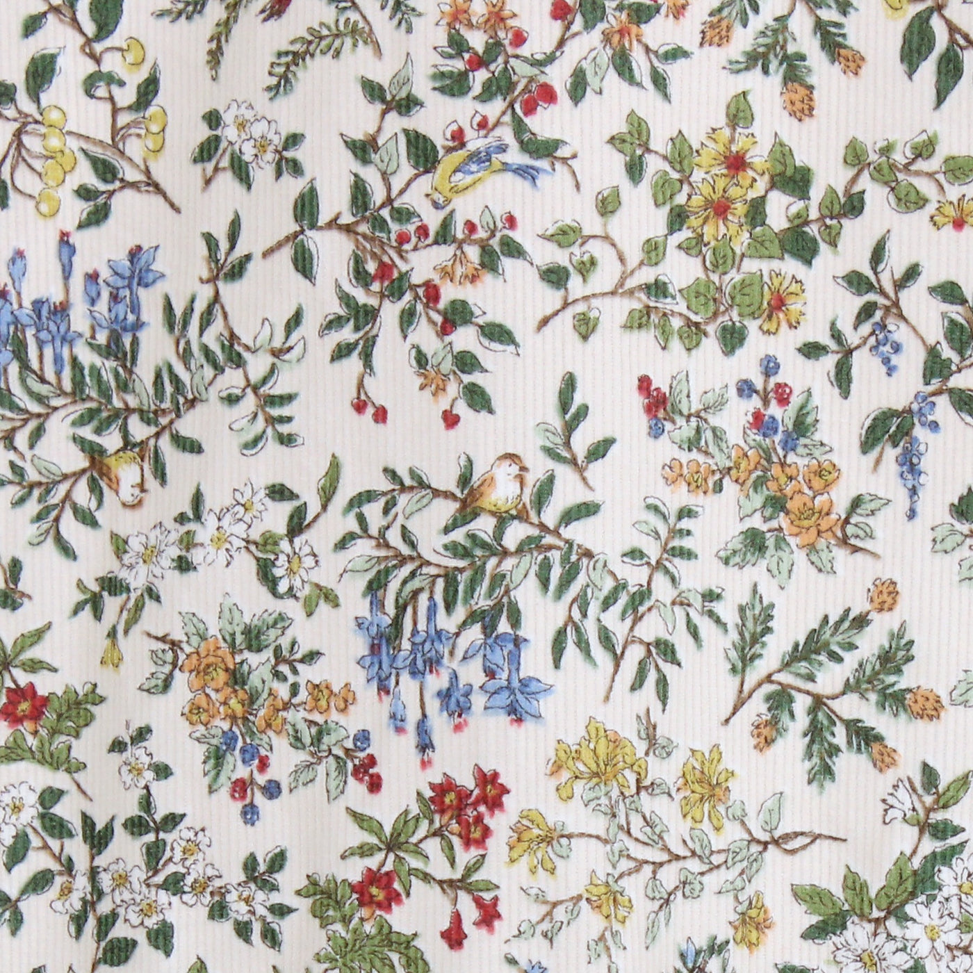 綿100% ウエストギャザー シャーリング袖ブラウス 21ウェルコーデュロイ使用